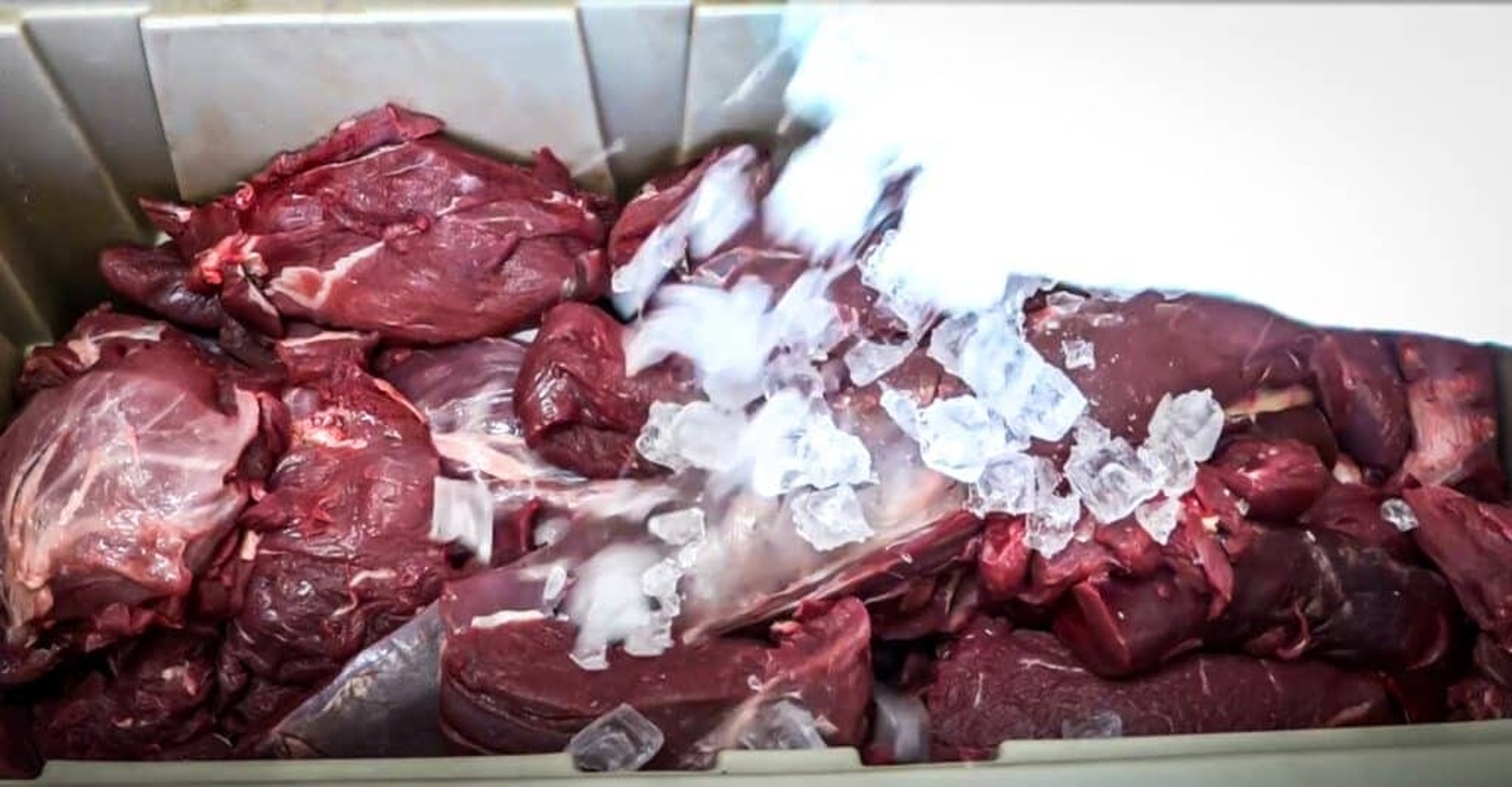 aging venison