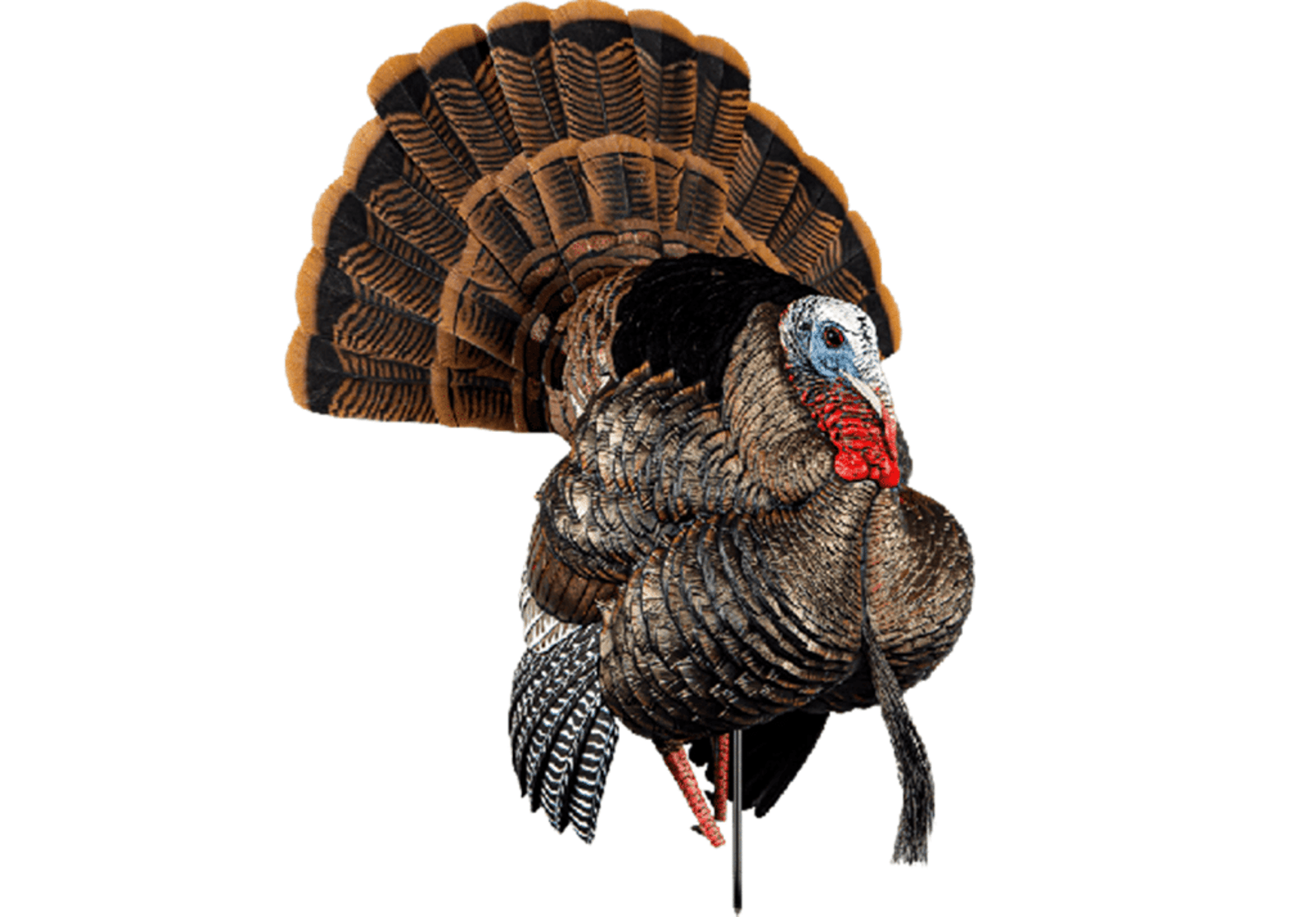 Avian-X HDR Strutter