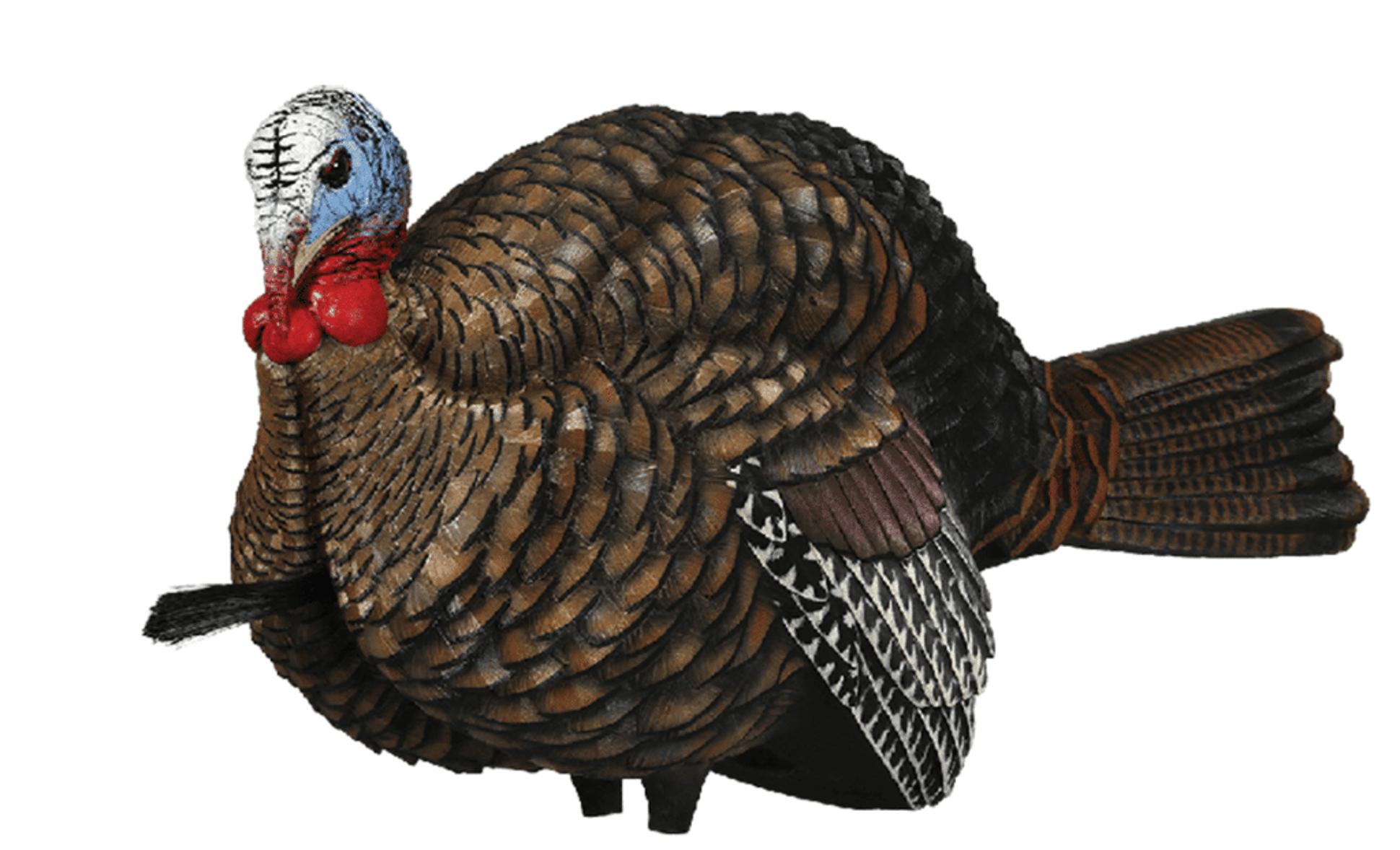 Avian-X LCD Half-Strut Jake