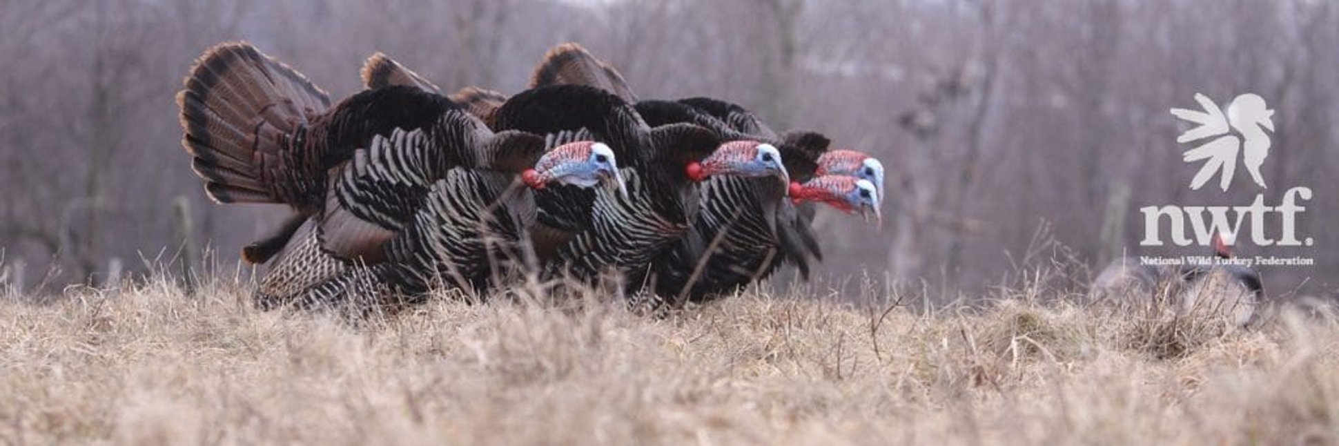 NWTF Donates Nearly $300,000 In Alabama
