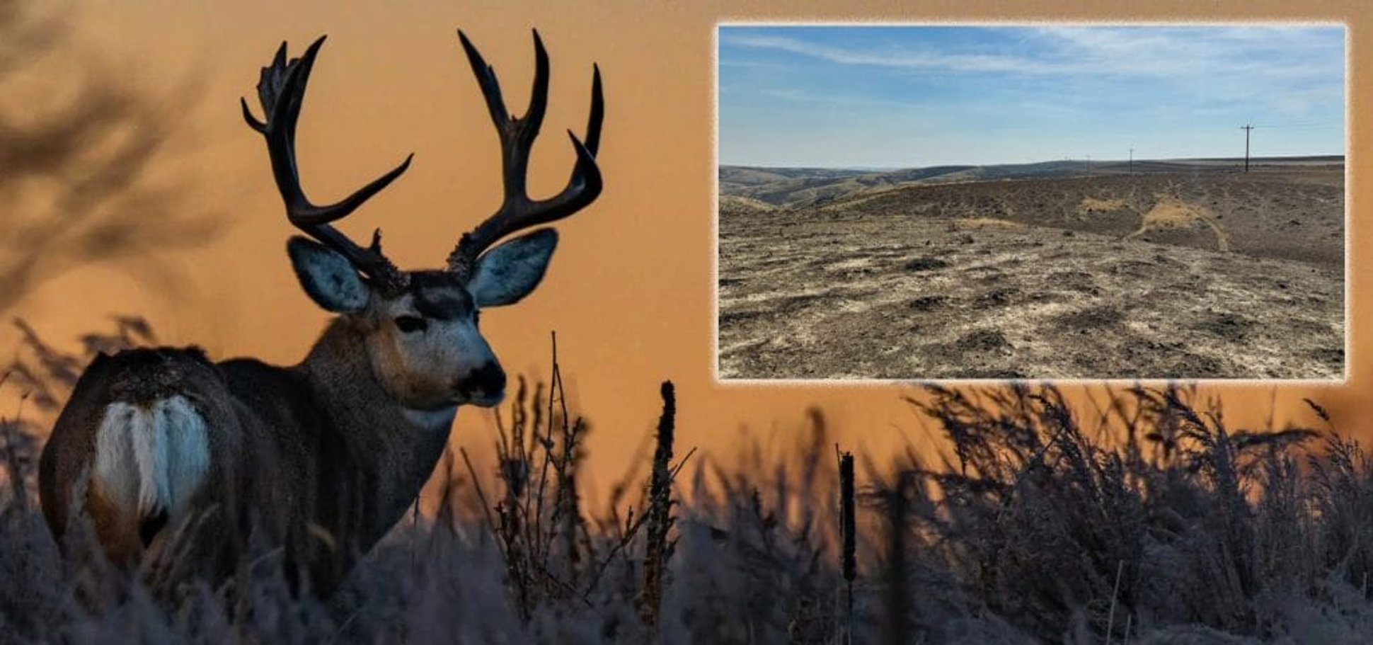 Wildfires Wreck Wyoming