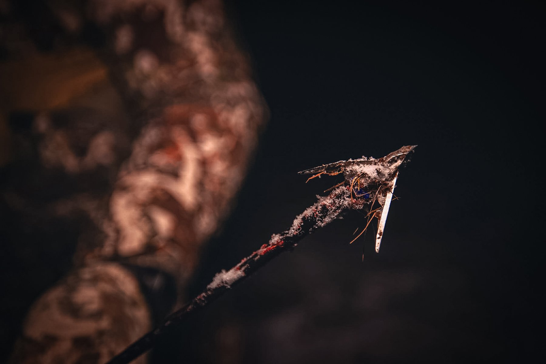 a broadhead covered in fur and dirt Bowtech
