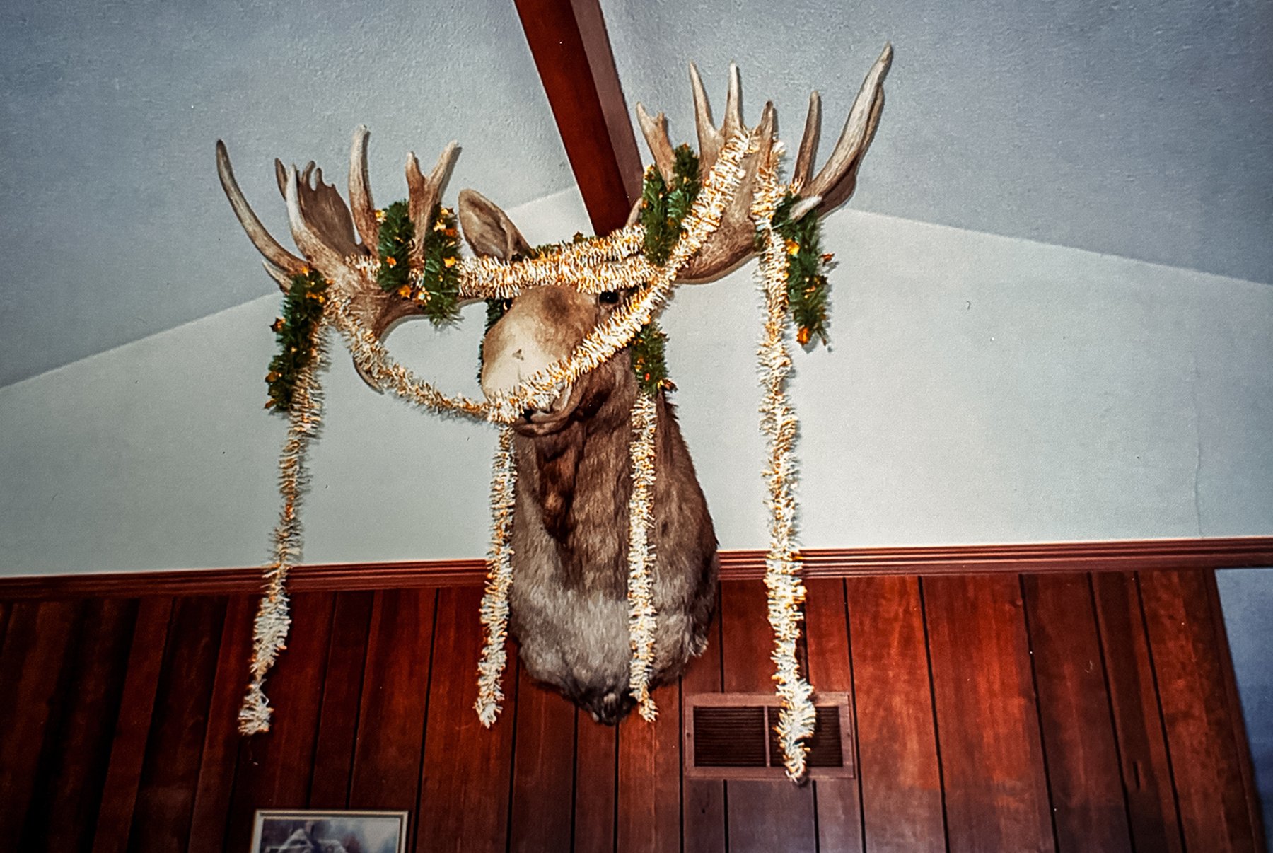Old Ugly serving as a garland bearer during the Christmas season