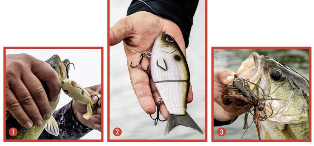 XPS Chaos Shad from Bass Pro Shops, XPS Swerve Glide Brushtail swimbait, XPS Football Jig