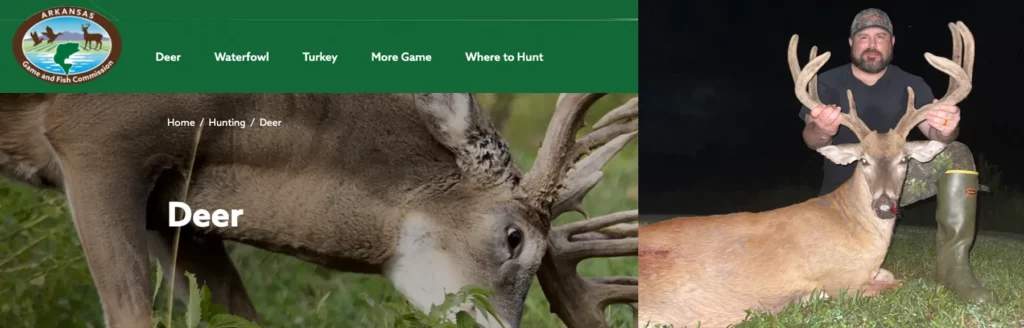 Arkansas Tallies Up a Great Deer Season