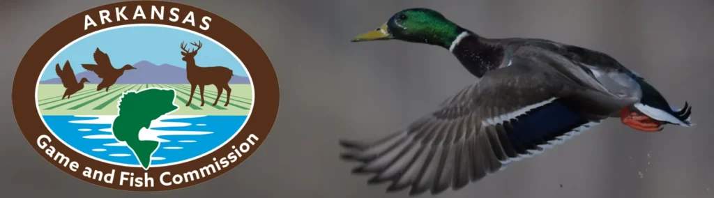 Arkansas Proposes Waterfowl Hunting Changes