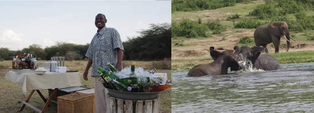 african safari
