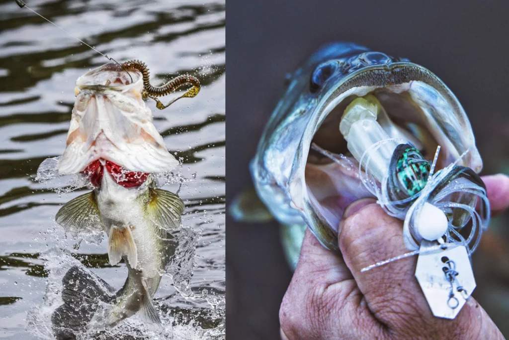 lake fork bass fishing with lake fork trophy lures