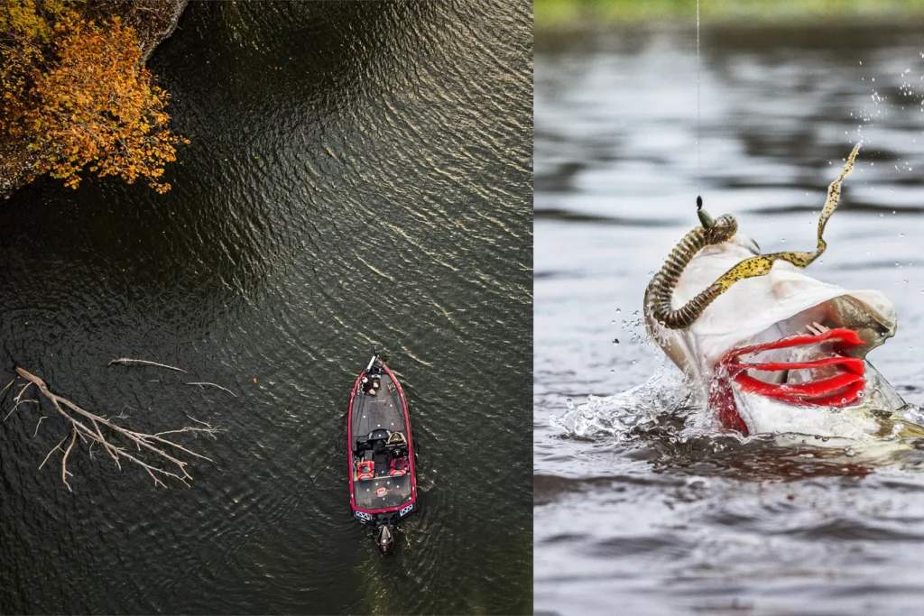 lake fork bass fishing