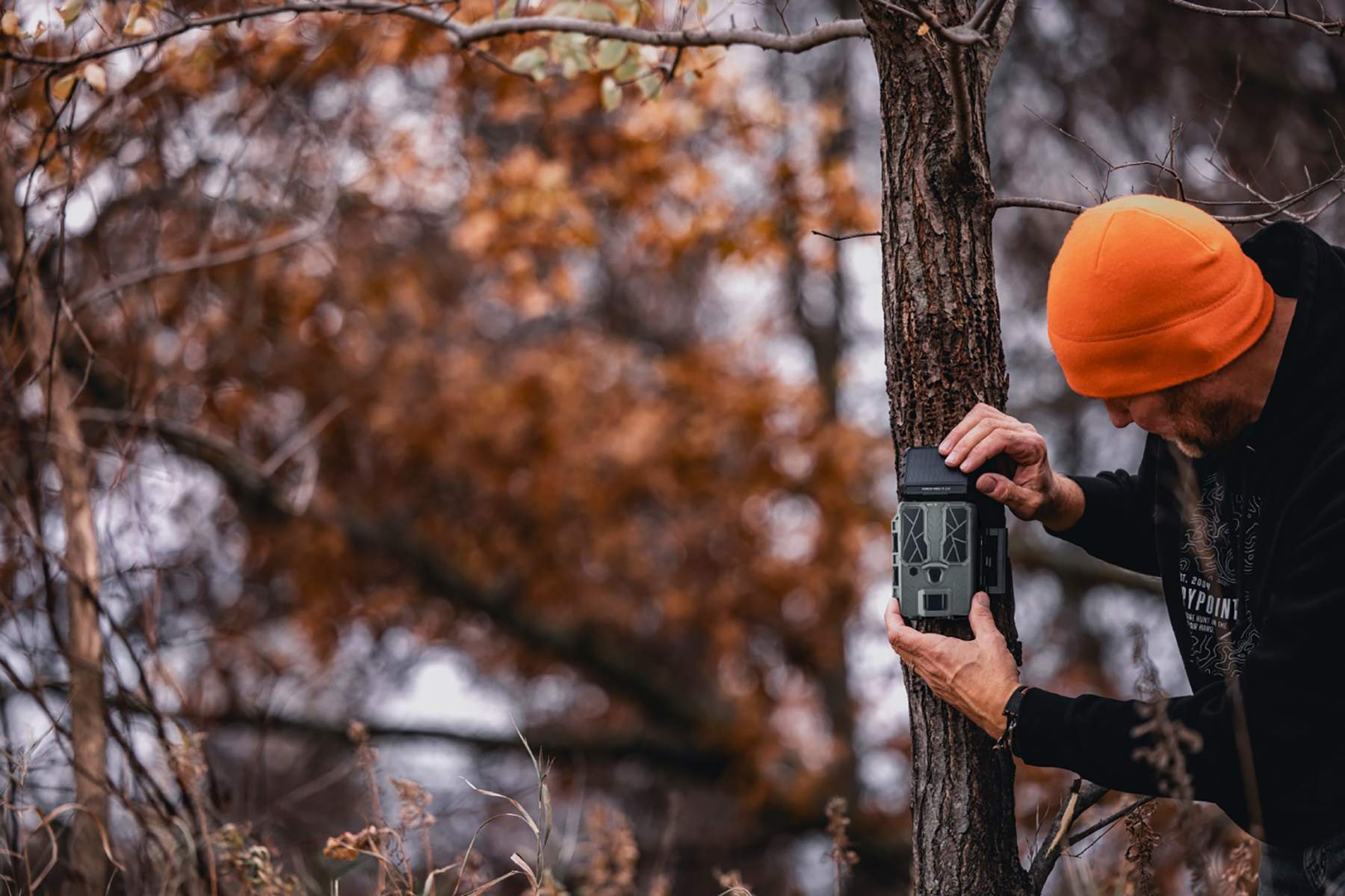 man installing a trail cam on a tree