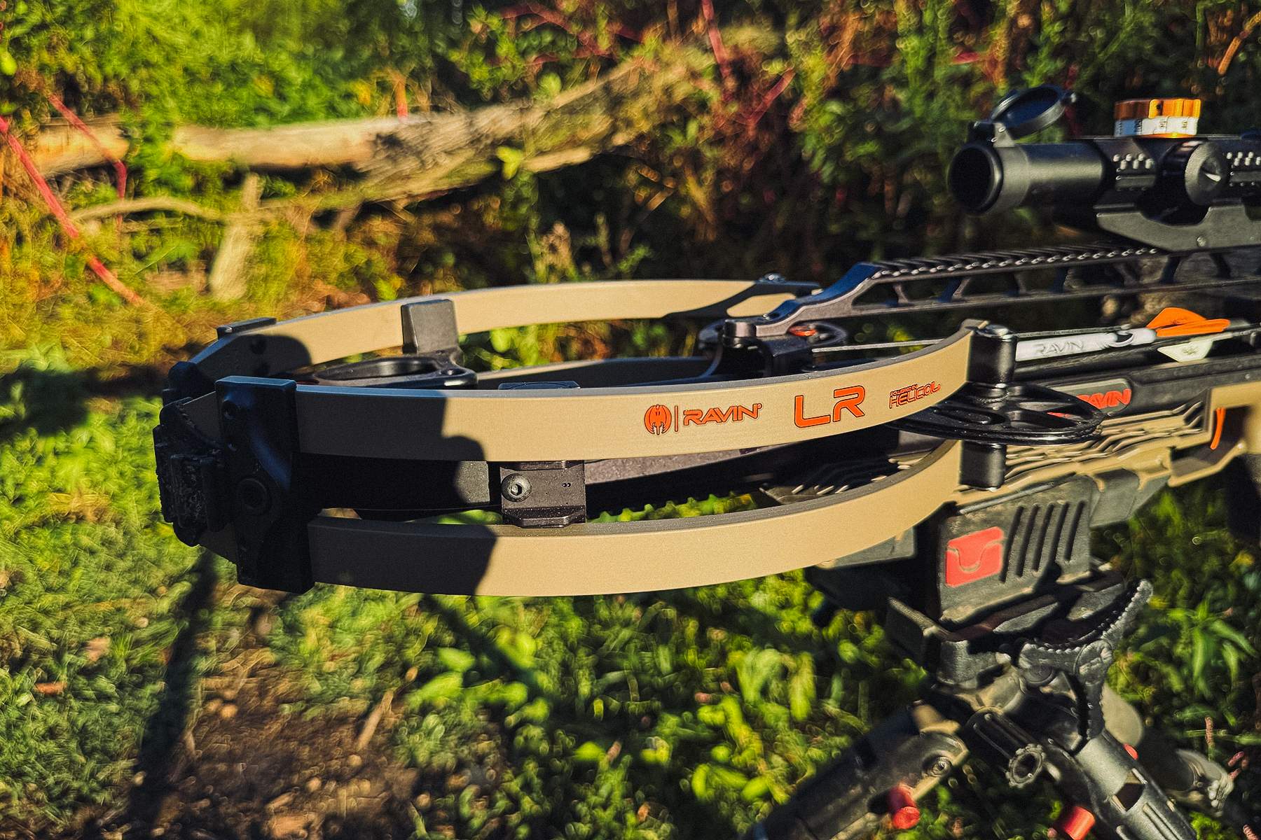 on a tripod