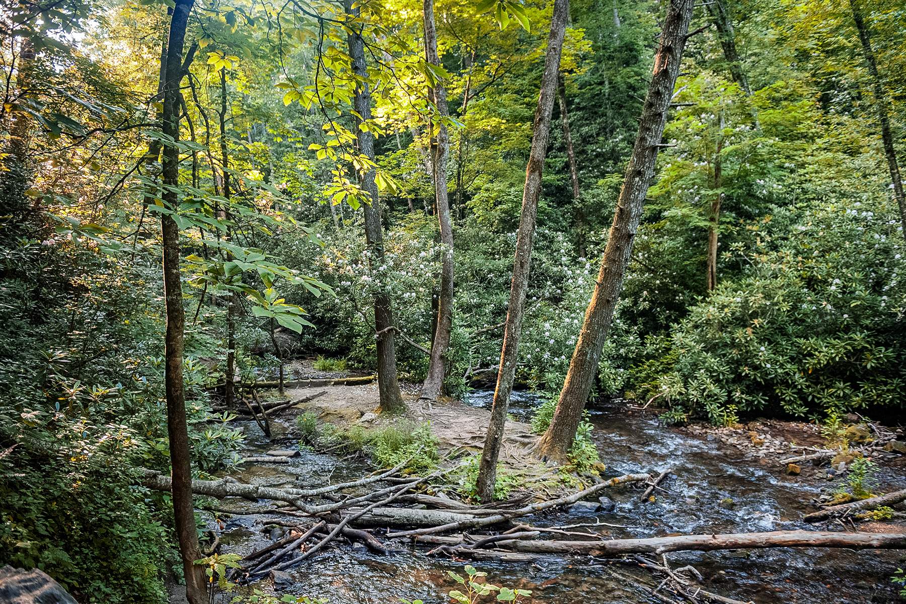 deer hunting funnels creek crossing
