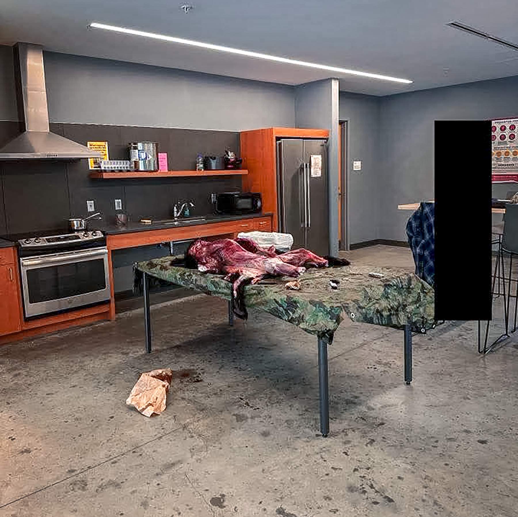 a bear carcass being butchered in the kitchen of Ganedago Hall at Cornell University in New York