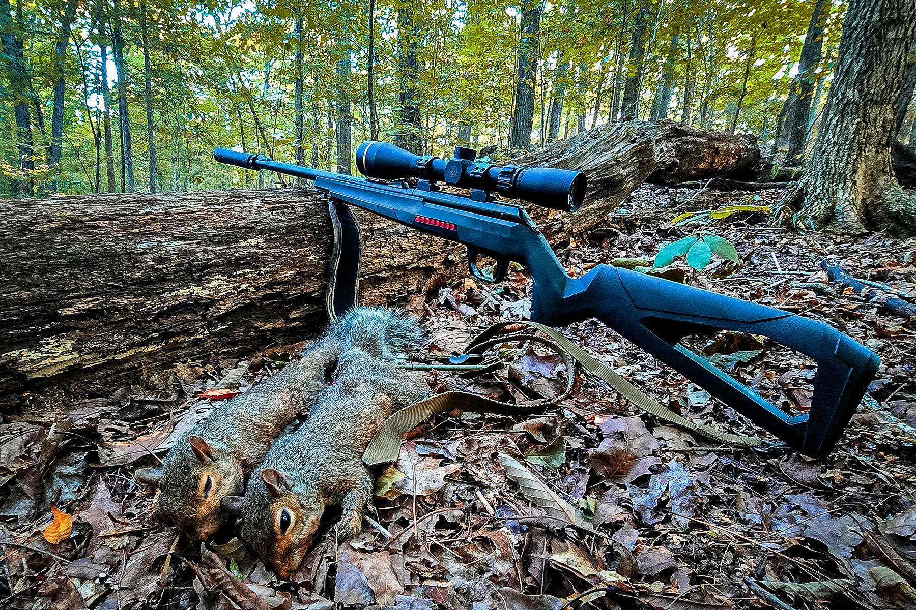 Winchester Xpert Bolt Action Rifle in Winchester 21 Sharp with squirrels