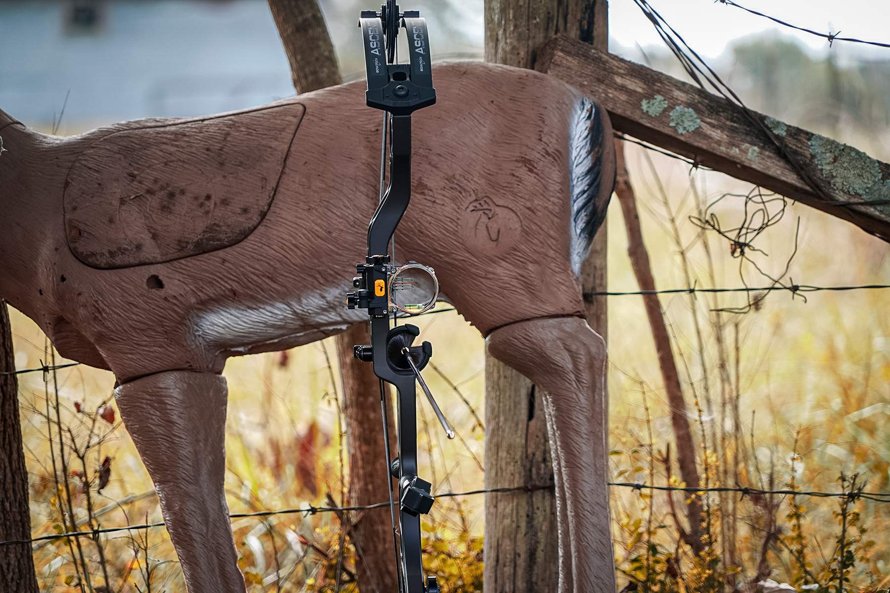 Bowtech Ascend with 3D target