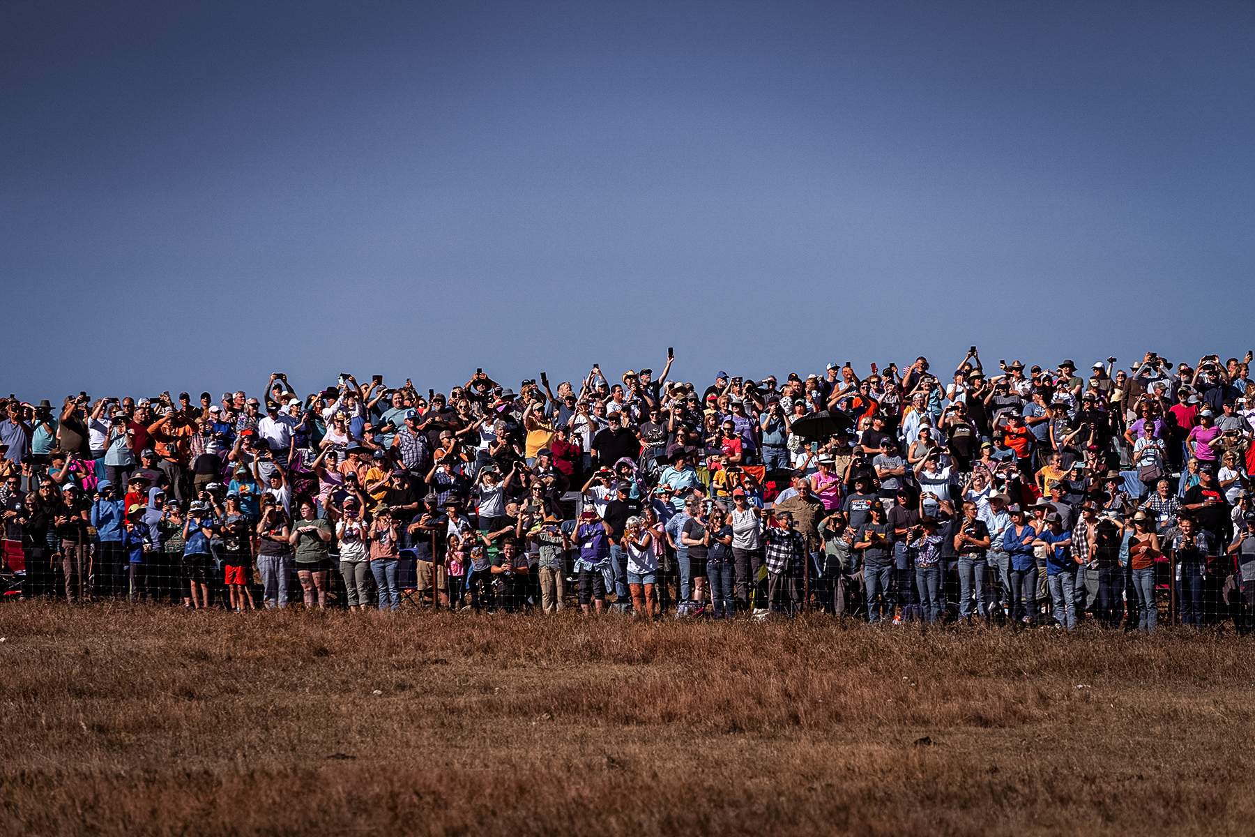 South Dakota Buffalo Roundup