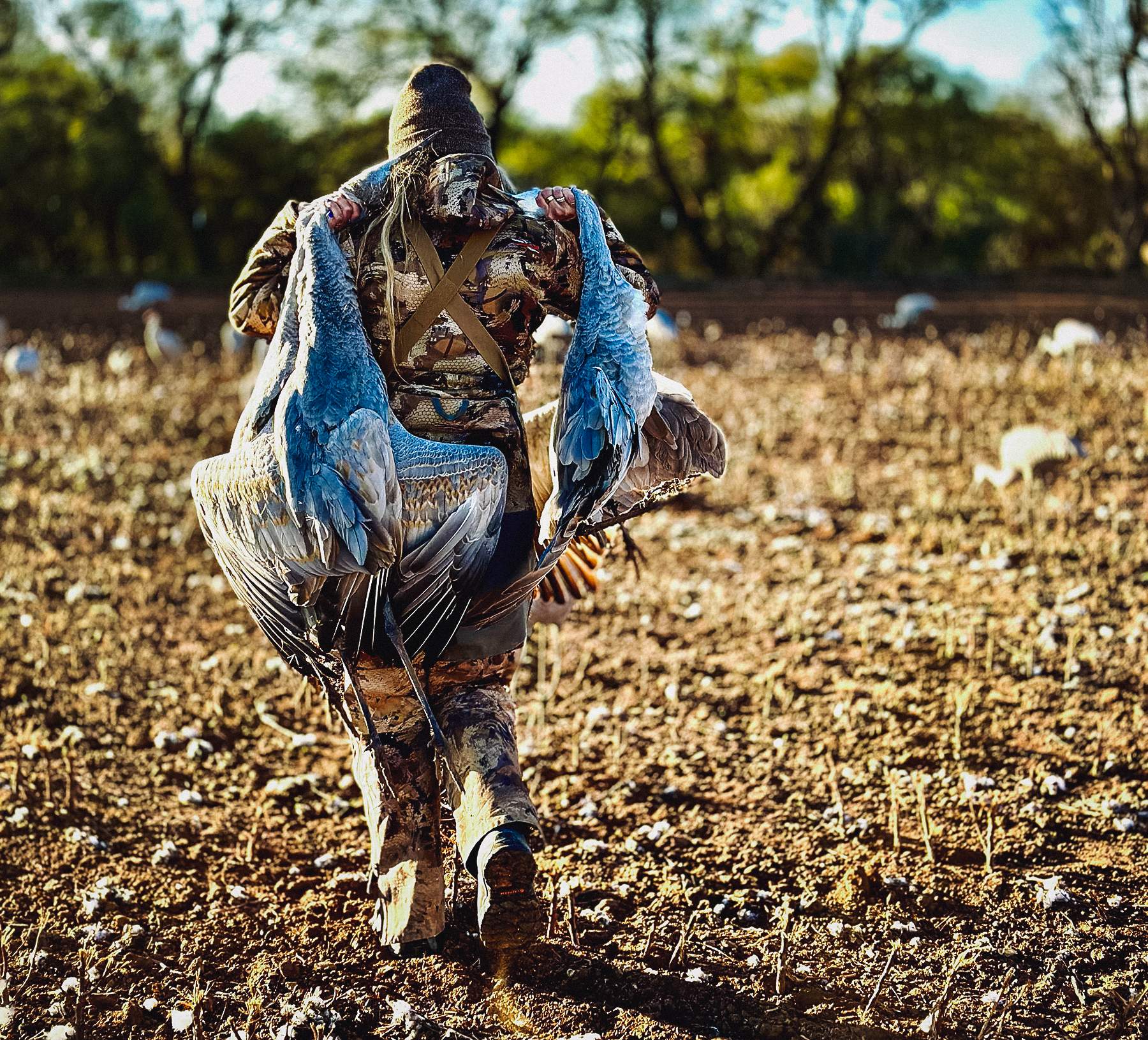 lauren brown carrying two turkeys in the field