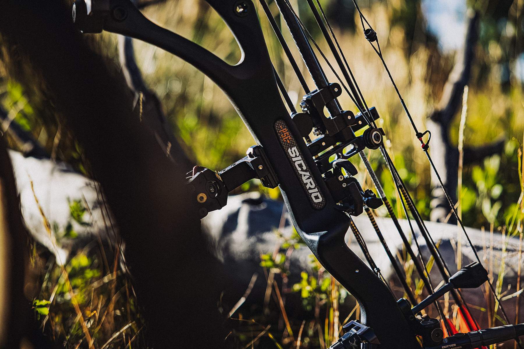 PSE Sicario Compound Bow bowhunting