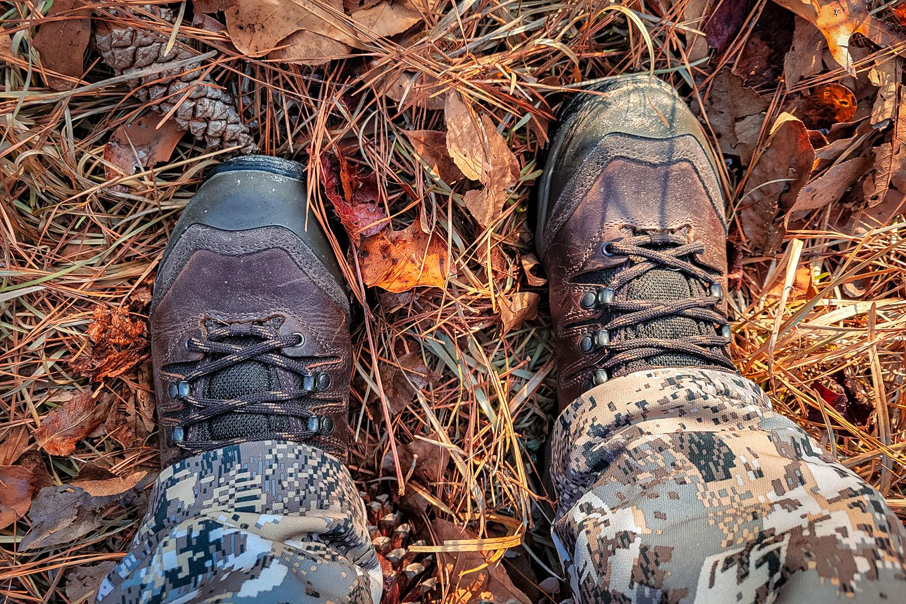 every step matters when trying to move like a deer