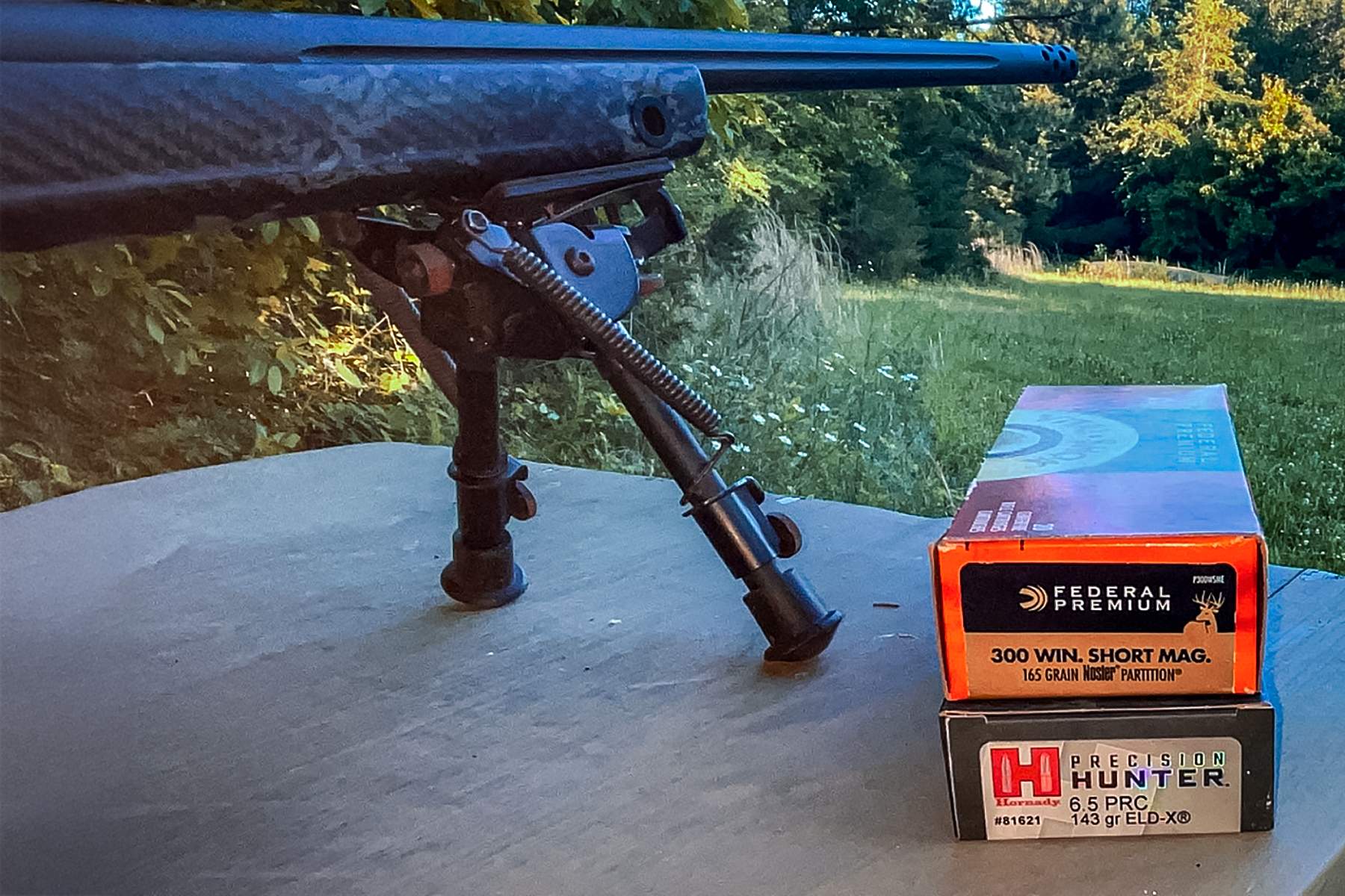 Federal .300 WSM ammo and Hornady Precision Hunter 6.5 PRC ammo with rifle on bipod
