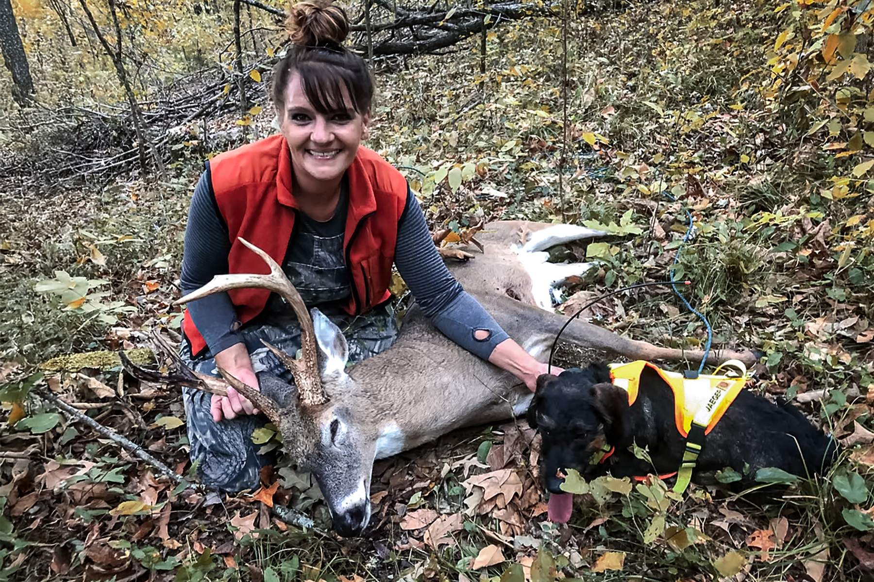 jaeger the deer tracking dog with a happy hunter and nice buck