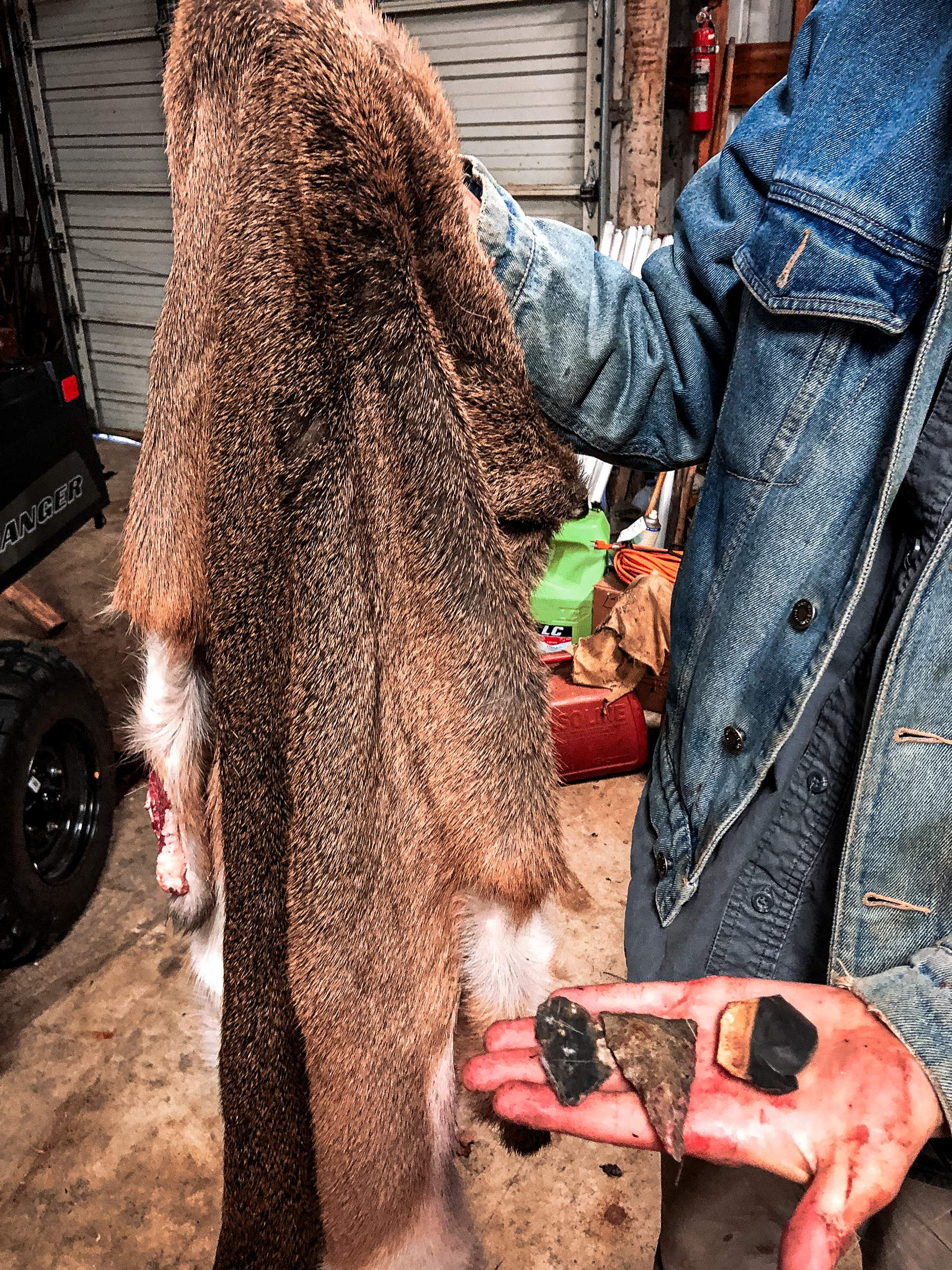 a man holding a deer hide and stone skinning tools