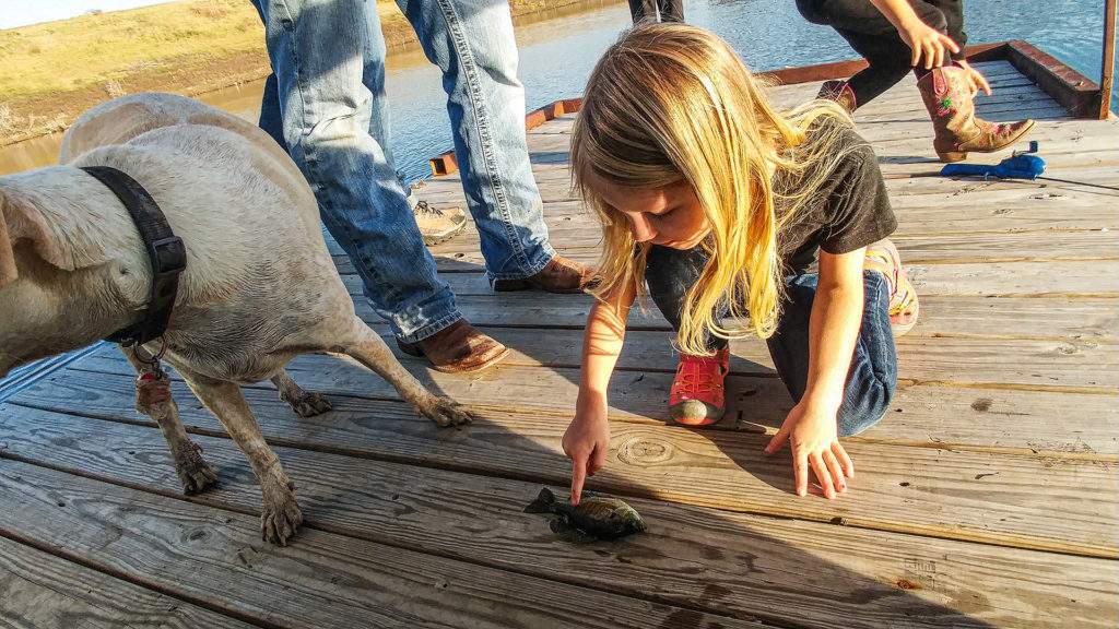 Bluegill fishing - The Trill of the Gill pic 5