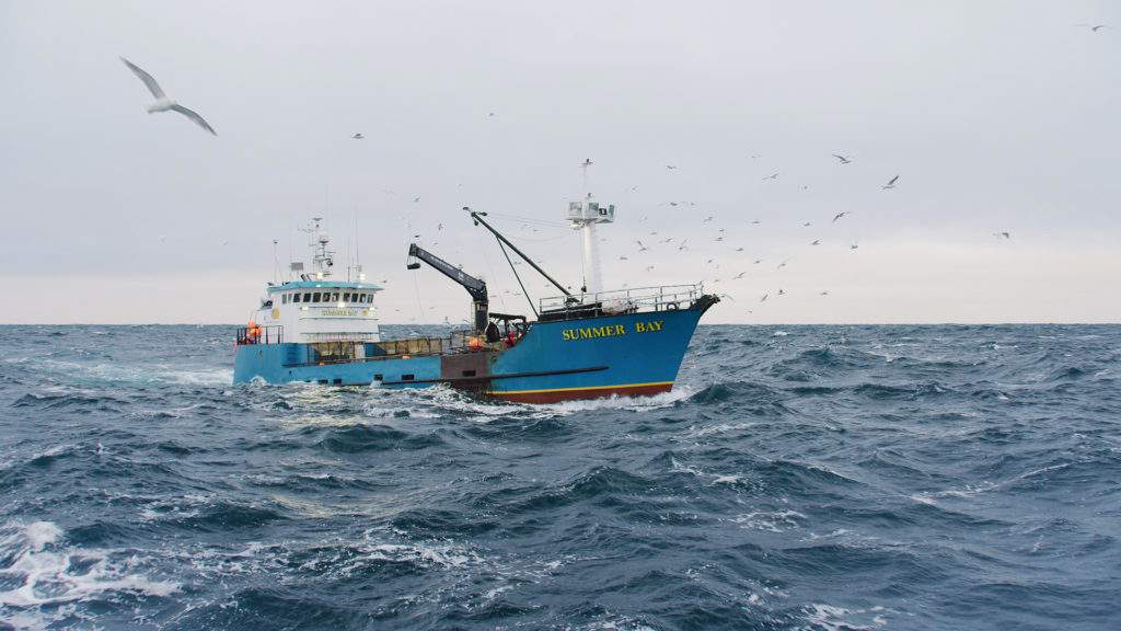 Deadliest Catch Wild Bill Discovery pic1