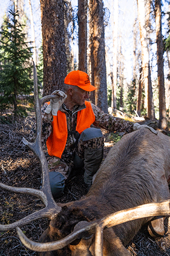 elk hunting