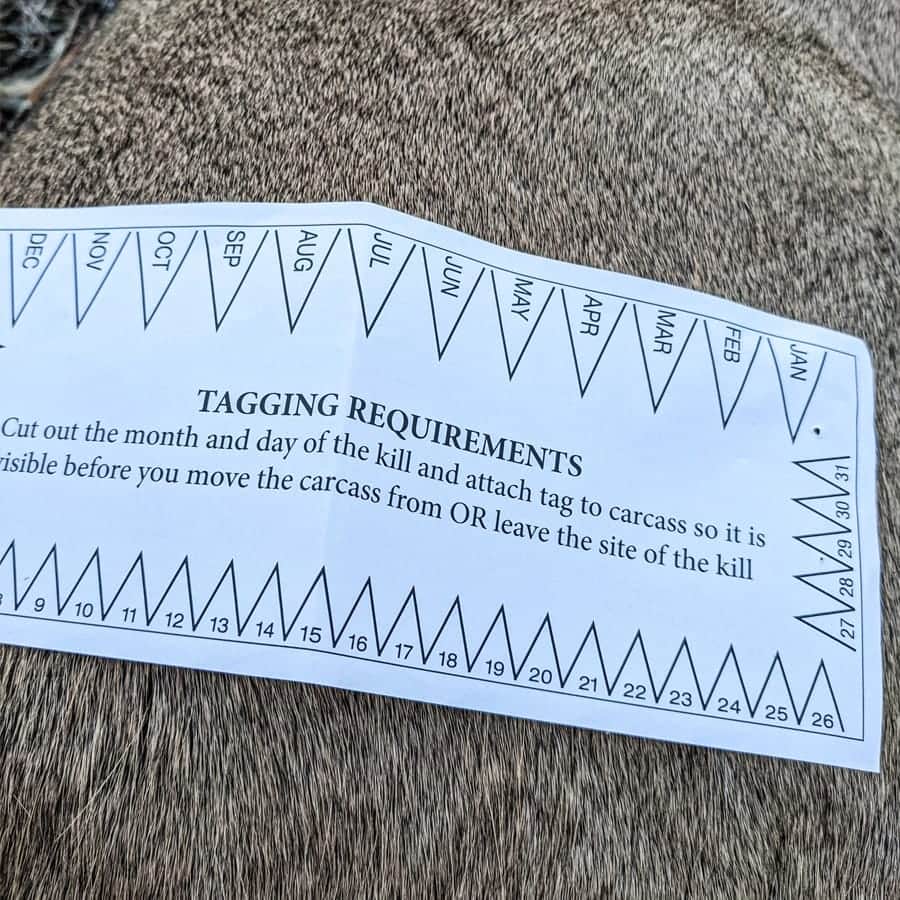hunting tags
