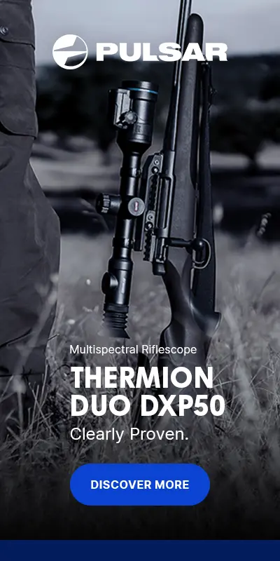 The Pulsar Thermion Duo